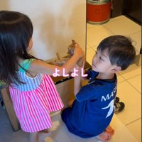 女の子に撫でられる子猫