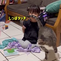 女の子の顔にしっぽを当てる猫