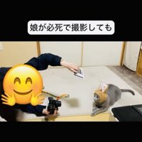 うさぎの被り物を被って娘さんに撮影されるロシアンブルー