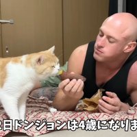 焼き芋をもらう猫