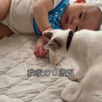 ベッドの上でぬいぐるみに興味を示すつなちゃん