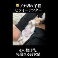 その数日後