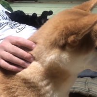 隣に座るももちゃん
