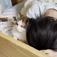 人の頭の横にいる猫