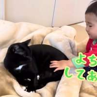 猫をなでている赤ちゃん
