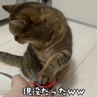 「現役だったｗｗ」のテロップ写真