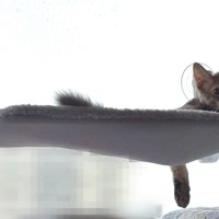 ベッドの上の湊くん