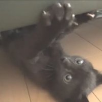 逆さ走り！