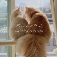 窓辺で寄り添う2頭の猫