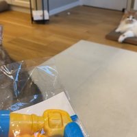 身を乗り出すこたつくん