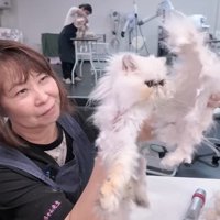 猫と刈った毛