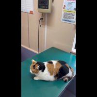 横から