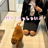 大学生と猫
