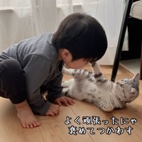 子供のあたまにふれる子猫