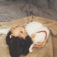 一緒に寝る猫と飼い主