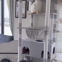 キャットタワーの穴に顔を入れてジッとしている猫