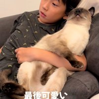 猫を抱いている子どもと抱かれている猫