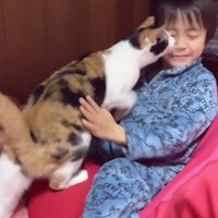 ベッドの上の男の子と猫