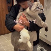 猫を抱っこする女の子