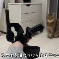 ヘッドマウント式スマホ固定スタンドをみにらくんに見せる飼い主さん