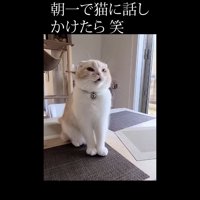 見上げて鳴く姿