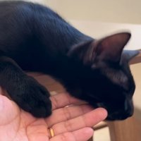 されるがまま