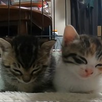 少し下がる頭