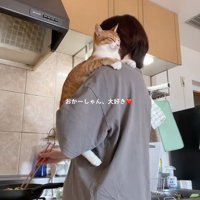 抱っこされる猫
