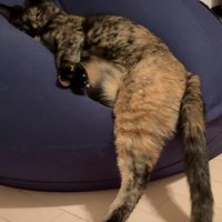 成長した小梅ちゃん2