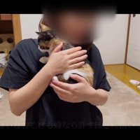 抱っこ