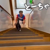 テロップ「とーちゃーん！」