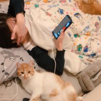 布団の上で飼い主と一緒にくつろぐ2匹の猫