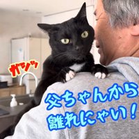 ガシッ