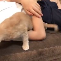 腕から抜け出して