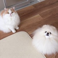 見上げるふたり
