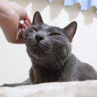 頬を撫でられ中