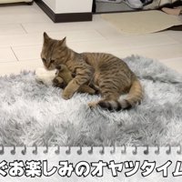 このあとはおやつタイム