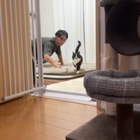 向こうから走ってきて