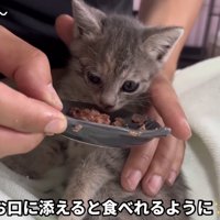 「お口に添えると...」のテロップ写真