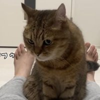 ゲップするみにら君