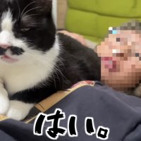 おしゃべりをするくろまめちゃん