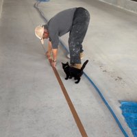 作業する男性と子猫
