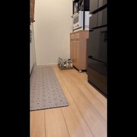遠くから