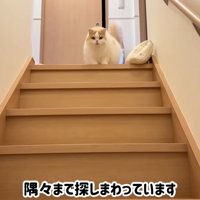 テロップ「隅々まで～」