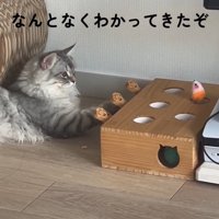 「なんとなく～」と書かれた写真