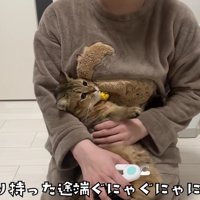 飼い主さんの腕から逃げ出そうとするみにらくん