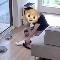 猫を回す男性2