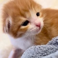 目を開けて顔を上げるむぎくん