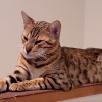 顔が戻った？