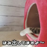 「はみ出してますよ～」のテロップ写真
